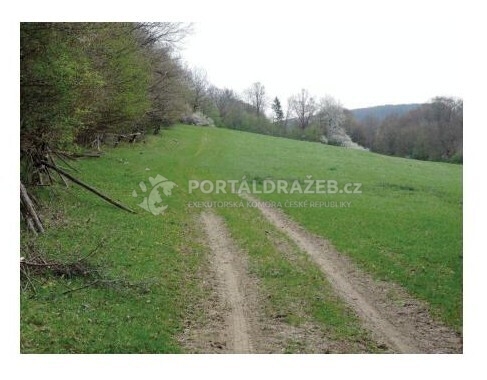 Dražba pozemků (4904 m2) - id. podíl 1/4 v k.ú. Kladná Žilín, obec Luhačovice, okres Zlín