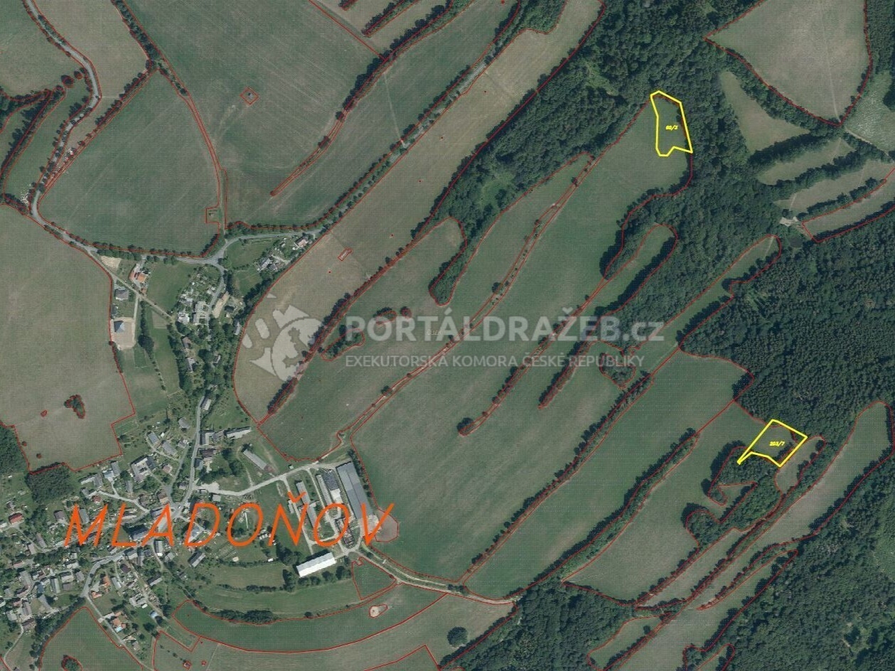 Pozemek o velikosti 8869m2, Mladoňov u Oskavy