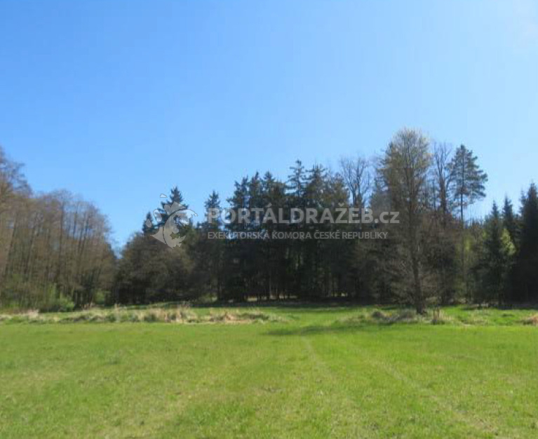 Pozemek o velikosti 13684m2, Bavorov, podíl 3/4 a 3/8