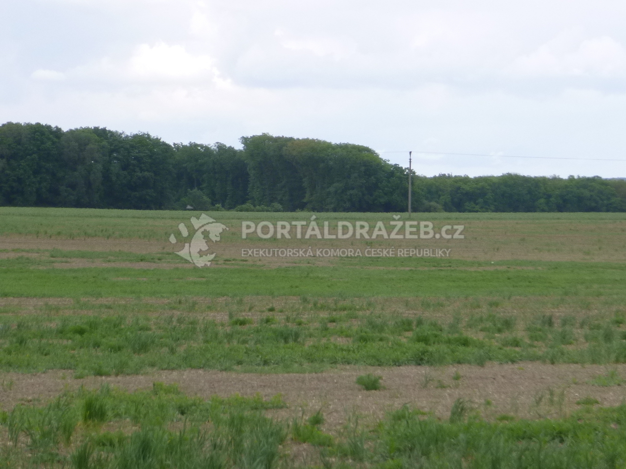 Podíl na pozemcích v k.ú. Dlouhopolsko, okr.