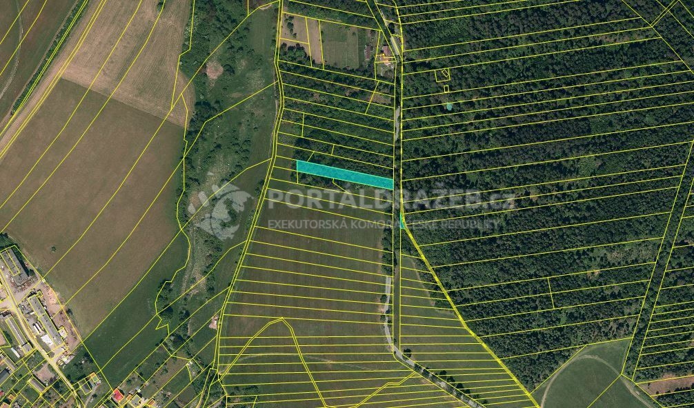 Dražba podílu id. 1/4 na lesních pozemcích v obci Hradec nad Moravicí, okres Opava