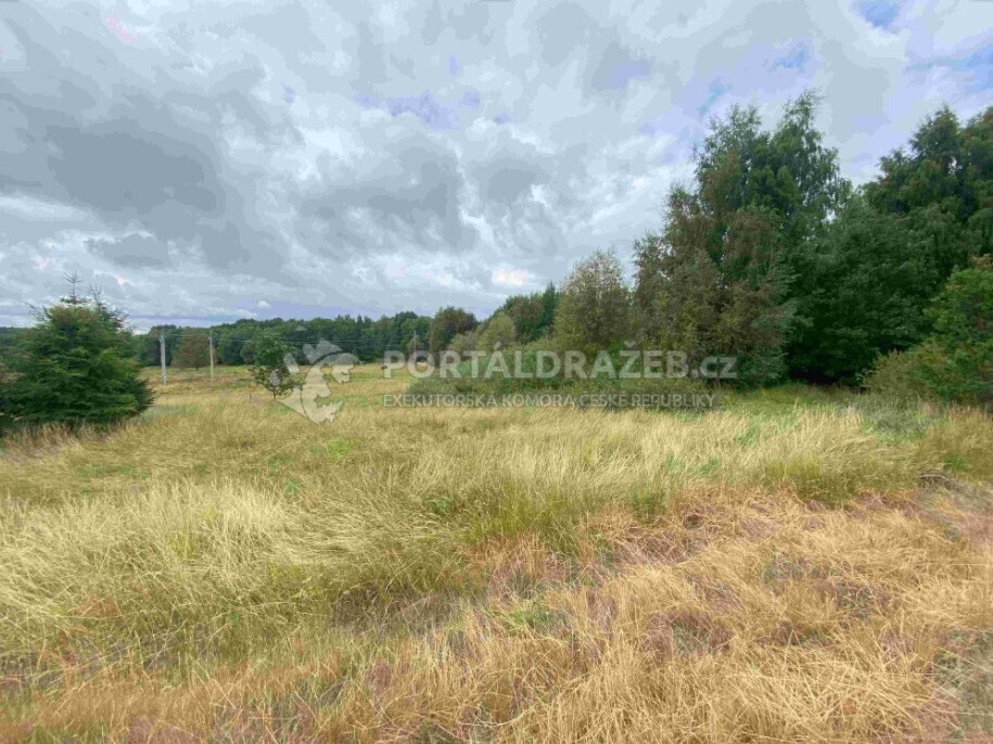 Pozemek o velikosti 2675m2, Aš