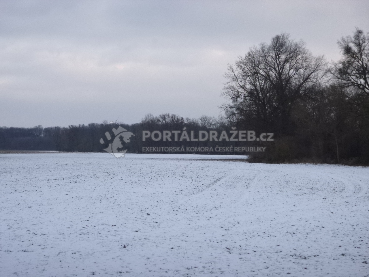 Podíl na zemědělském pozemku v k.ú. Kojetín, okr.