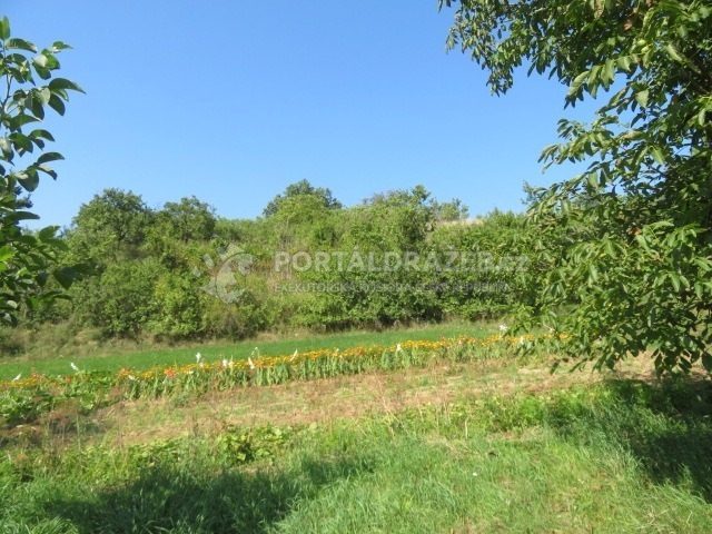 Dražba podílu 1/6 na pozemcích, Vlkoš, okr. Kyjov