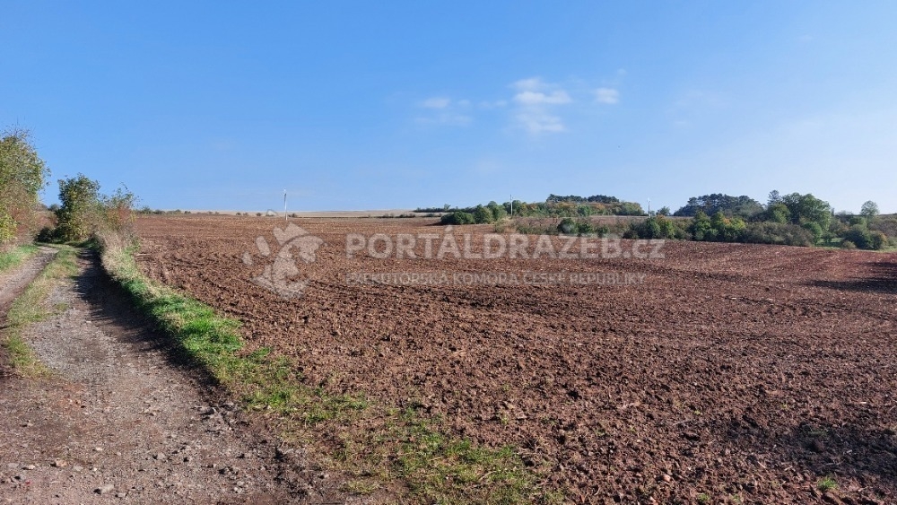 Soubor pozemků, podíl 1/2, obec Třebíz a Klobouky