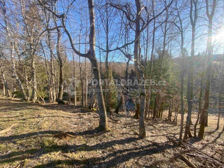Pozemek o velikosti 1644m2, Špičák