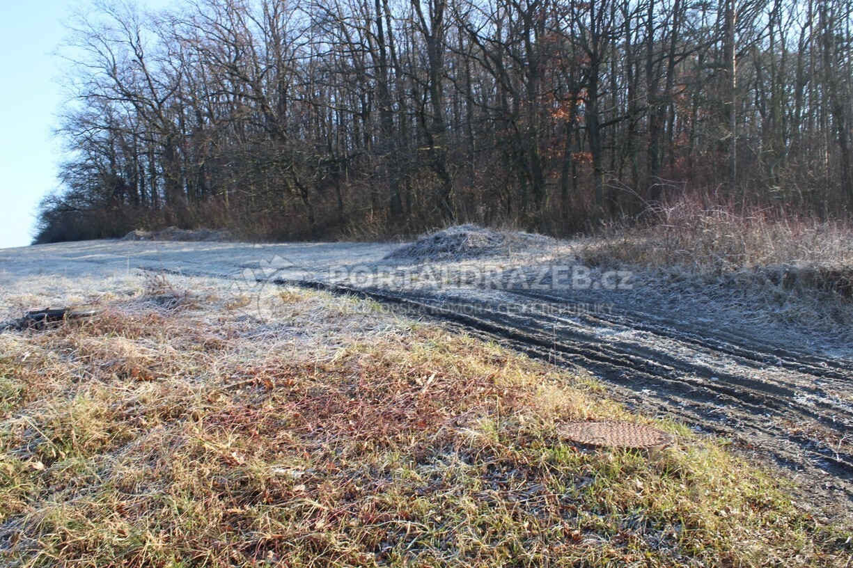 Pozemek v obci Březno, okres Mladá Boleslav