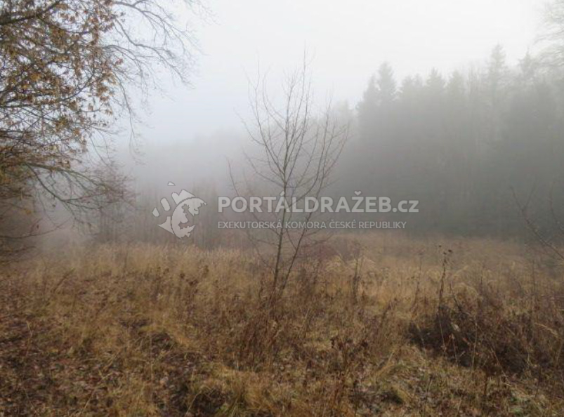 Pozemek (ostatní plocha) v k.ú. Třeskonice, obec Tuchořice, okres Louny
