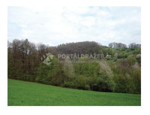 Dražba lesních pozemků (24701 m2) - id. podíl 7/20 v k.ú. Kladná Žilín, obec Luhačovice, okres Zlín