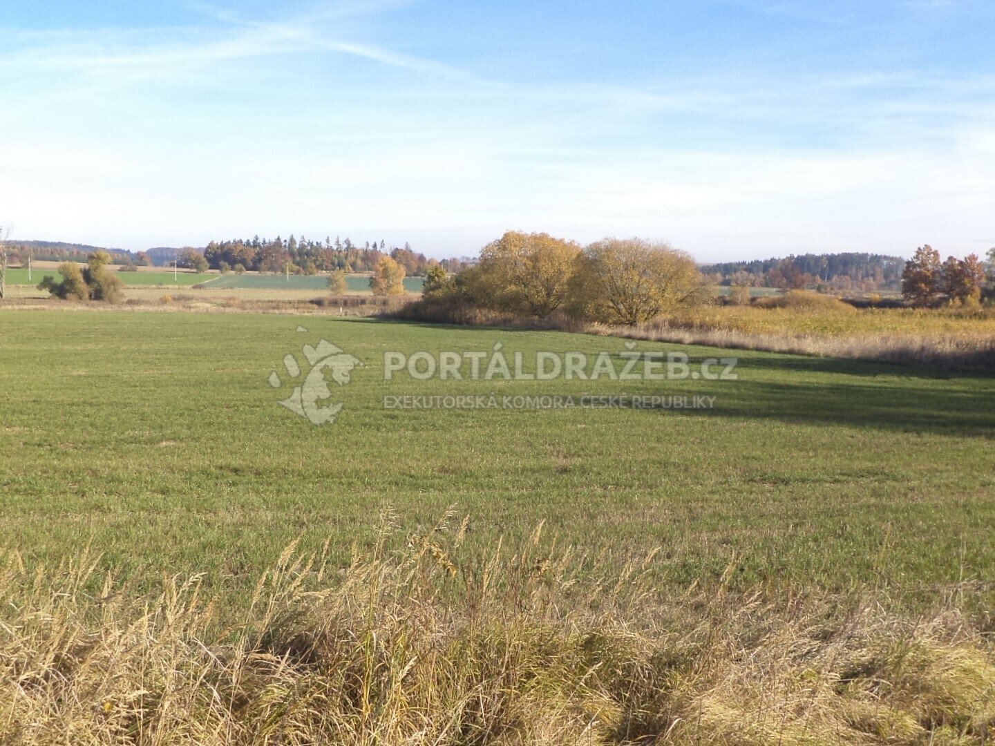 Pozemek o velikosti 1225m2, Borovná