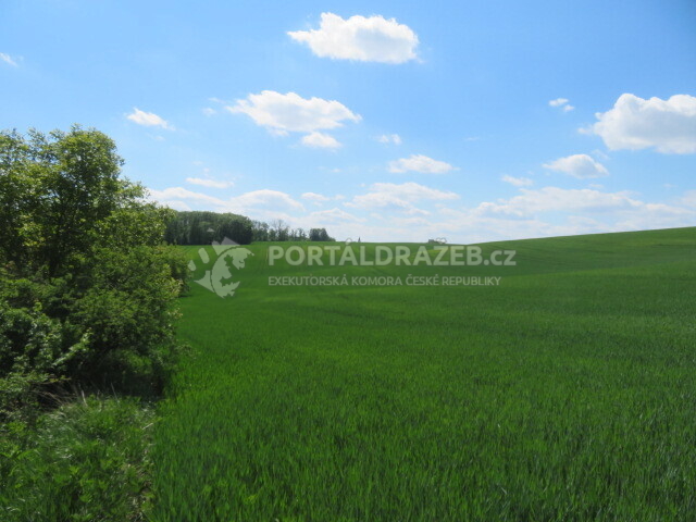 Dražba spoluvlastnického podílu id. 1/3, zemědělský pozemek, Čejkovice