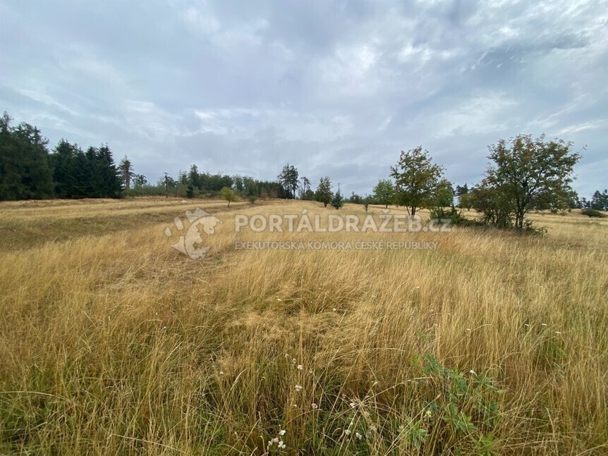 Pozemek o velikosti 3408m2, Matějovec