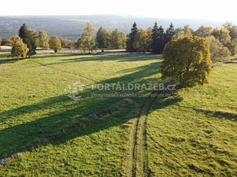 Pozemek o velikosti 5003m2, Milíře u Šindelové