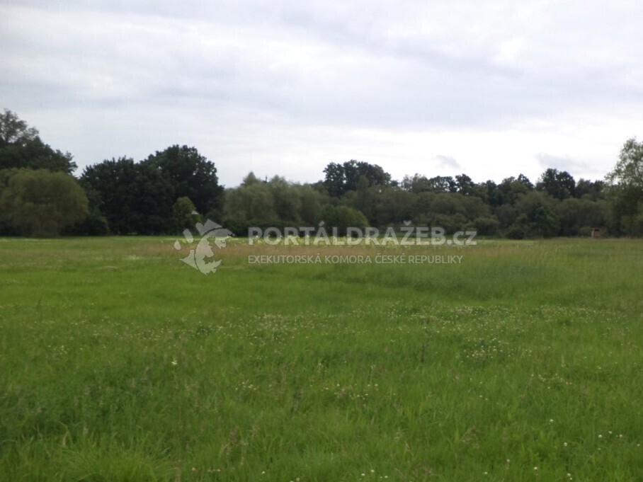 Pozemek o velikosti 5581m2, Stará Lípa