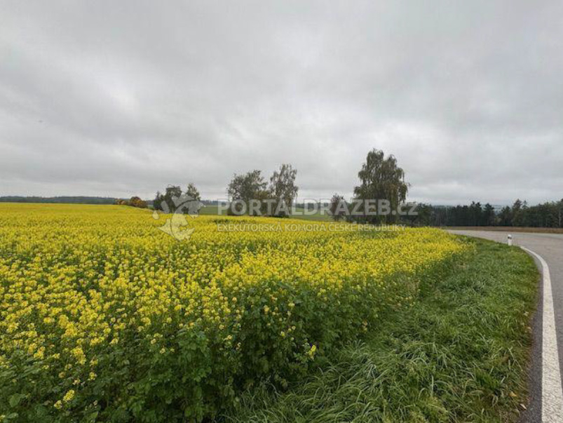 Ideální spoluvlastnické podíly 1/12 souboru