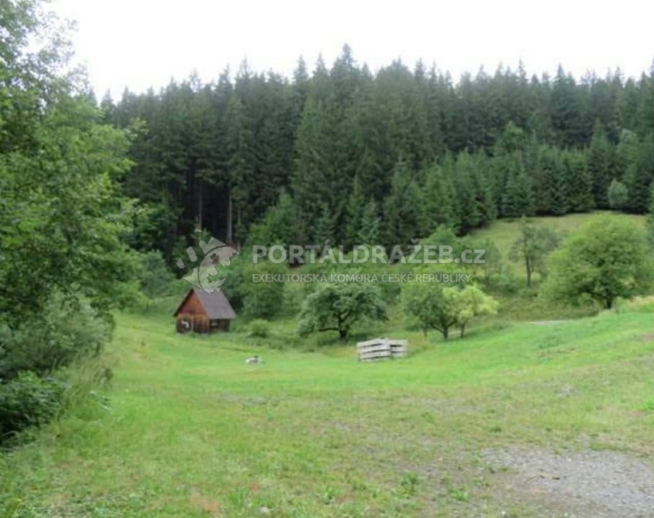Pozemky o velikosti 24946m2, Velké Karlovice
