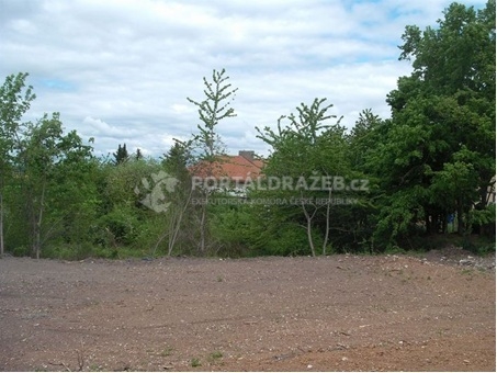Spoluvlastnický podíl ve výši 1/4 na pozemcích v Obci Pchery, okres Kladno