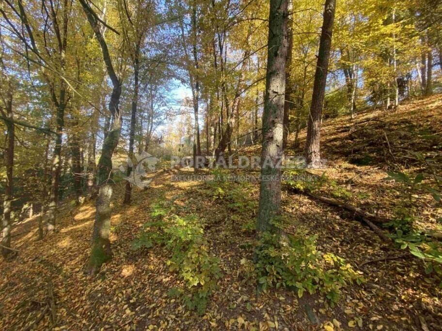 Pozemek o velikosti 2828m2, Střevelná