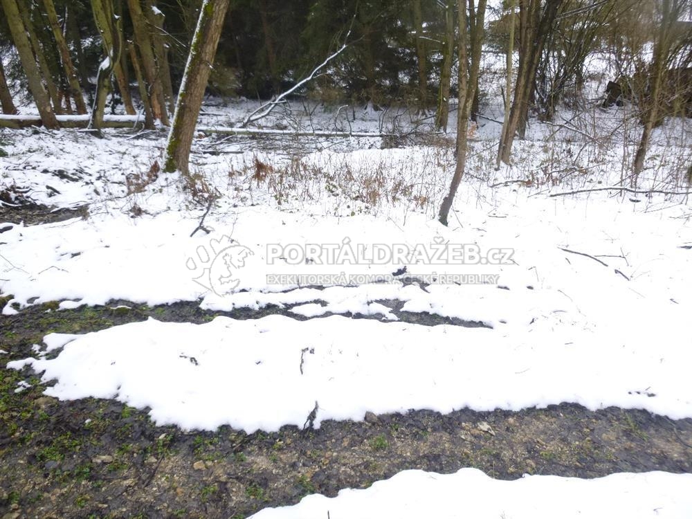 Dražba podílu na zemědělské půdě, okres Ústí nad Orlicí