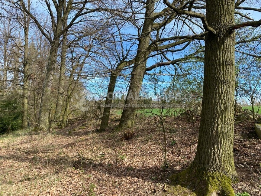 Pozemek o velikosti 17482m2, Okrouhlá Radouň