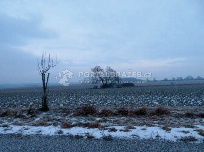 podíl 1/12 pozemků v k.ú. Struhy, okres Mladá Boleslav
