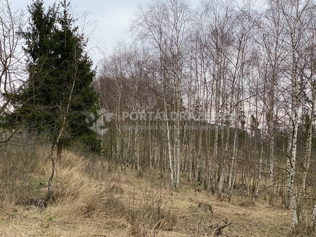 Soubor pozemků o celkové ploše 4.333 m2.,