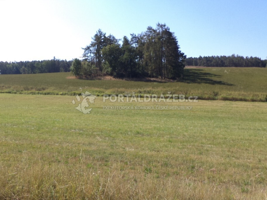 Pozemek o velikosti 2383m2, Medná