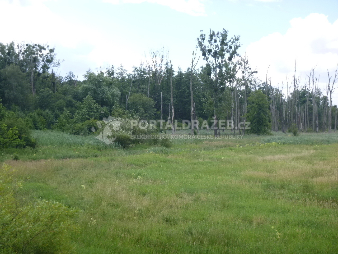 Podíl 1/4 na pozemku v k.ú. Bartošovice, okres Nový Jičín