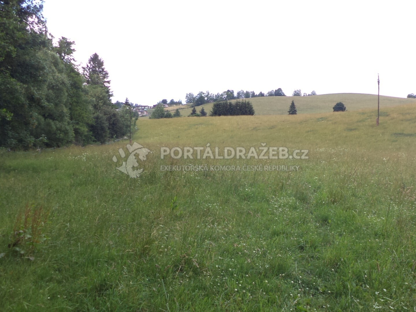 Pozemek o velikosti 10957m2, Prostřední Staré Buky