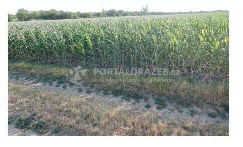 Dražba pozemku - id. podíl 1/6 v k.ú. Rakvice, obec Rakvice, okres Břeclav