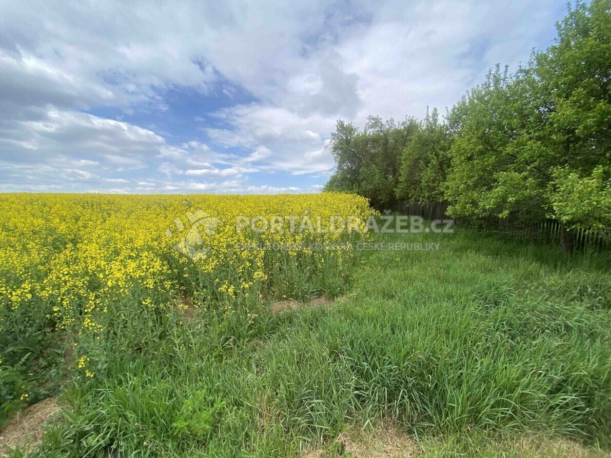 Pozemek o velikosti 1750m2, Řendějov