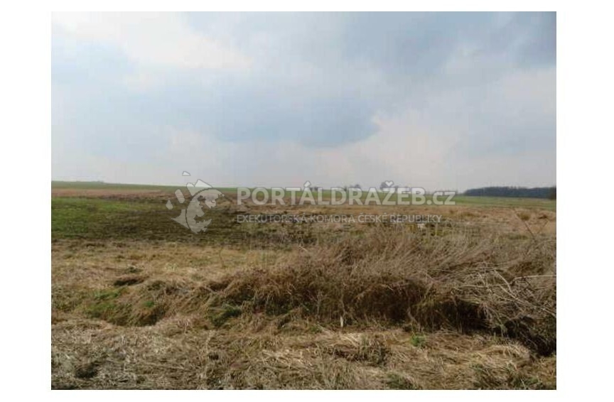 1/14 pozemků v k.ú. Bohuslavice nad Metují, obec
