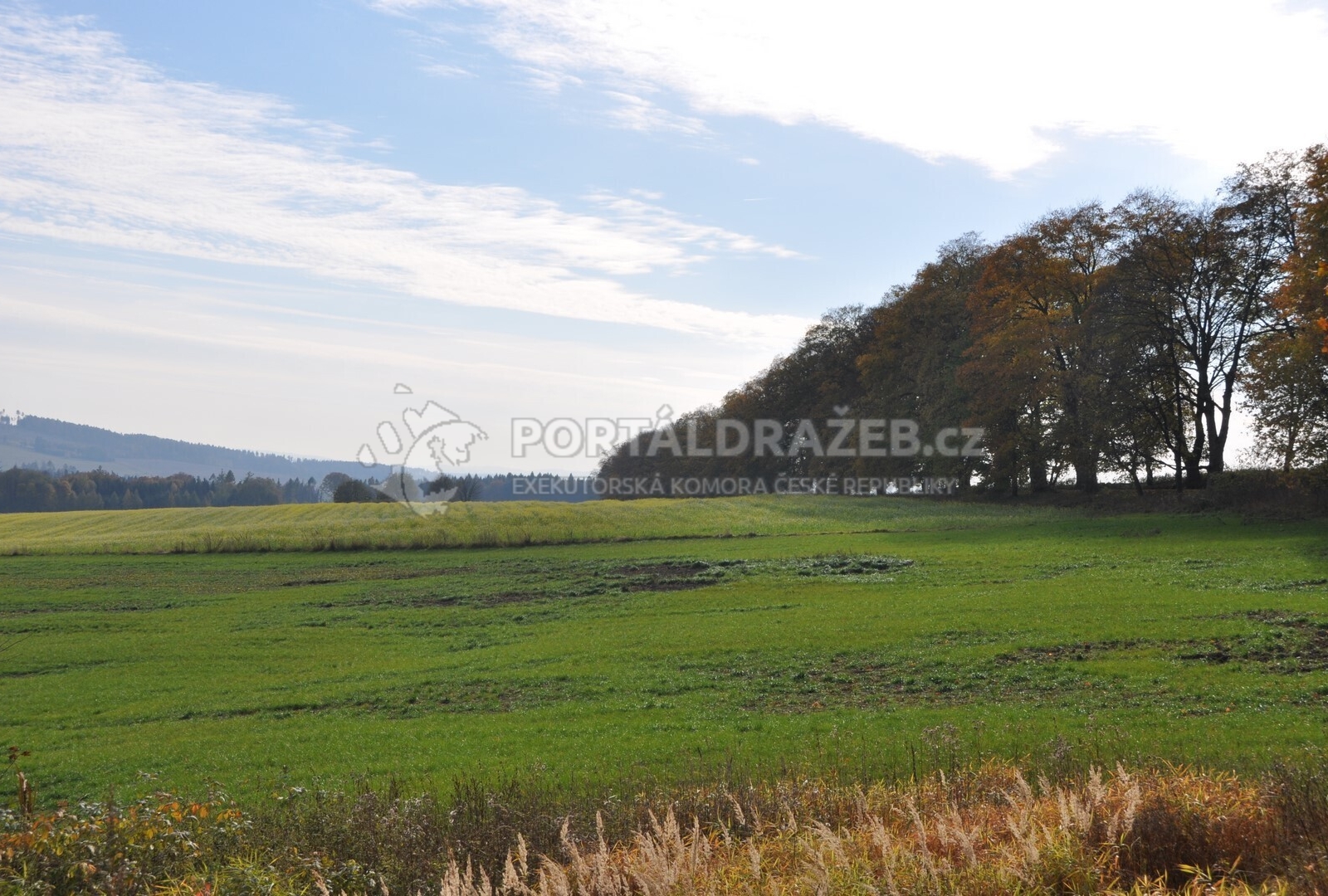 Dražba podílu 1/4 na pozemku, Malčín, Světlá nad