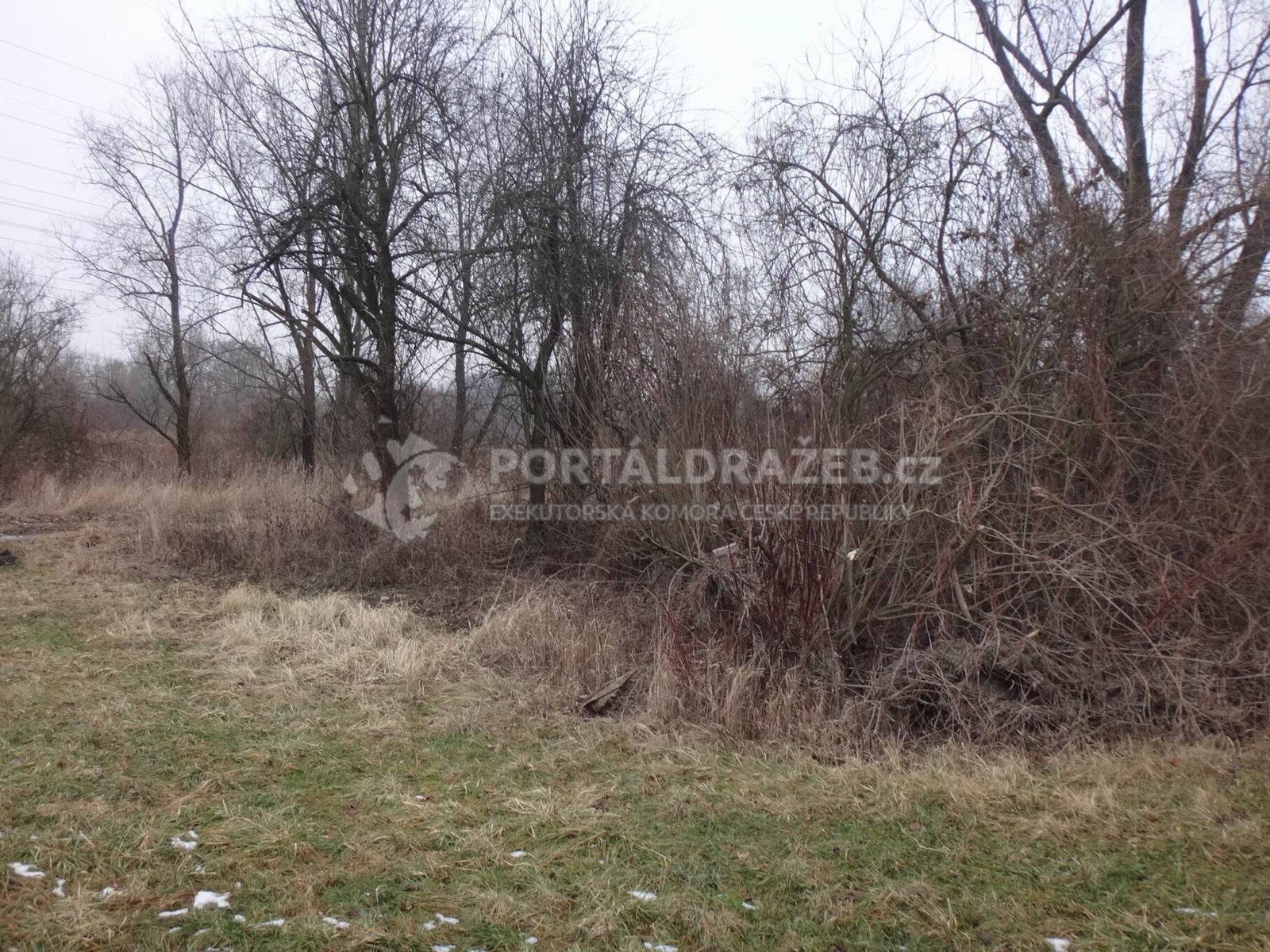 Podíl na zemědělských pozemcích v k.ú. Svinov,