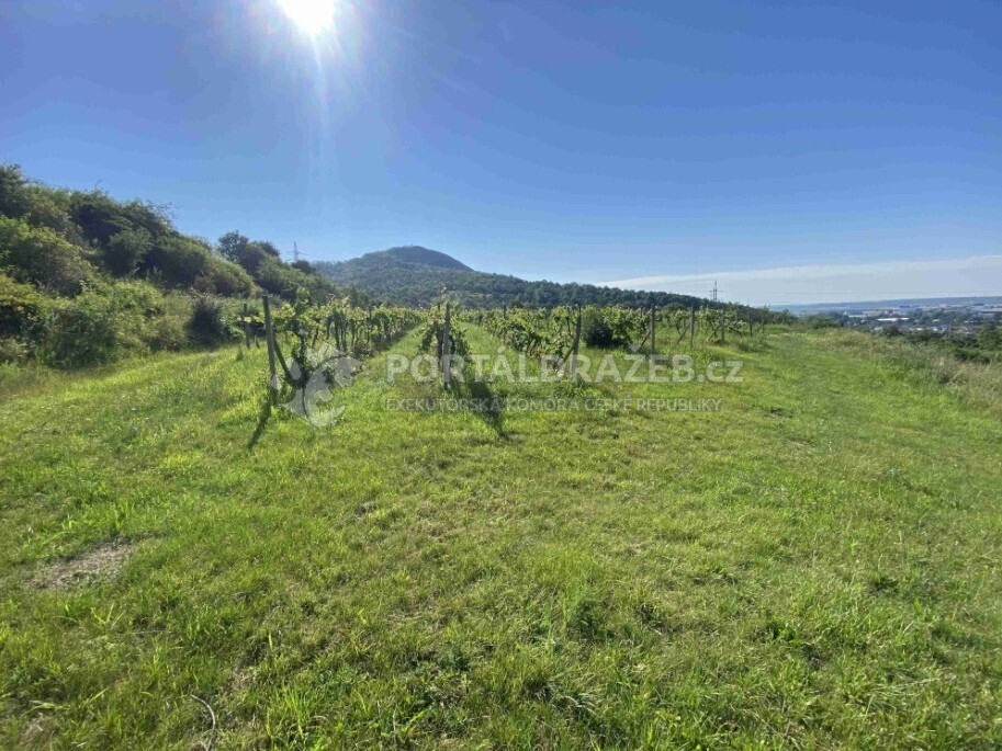 Pozemek o velikosti 9842m2, Michalovice u Velkých