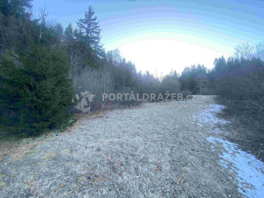 Pozemek o velikosti 2377m2, Železná Ruda
