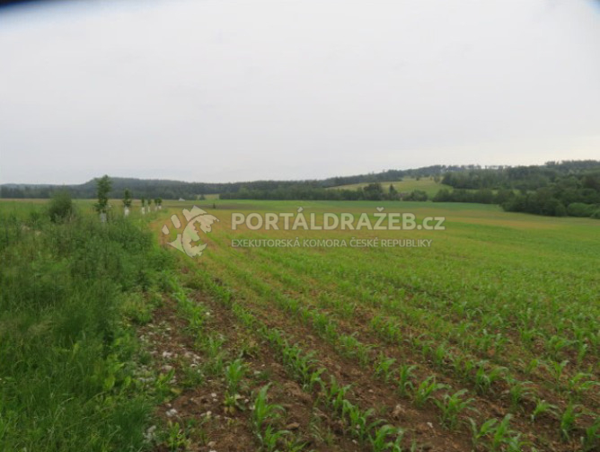 Soubor pozemků o celkové výměře 164.246 m2 v k.ú. Jiřín, obec Vyskytná nad Jihlavou, okres Jihlava