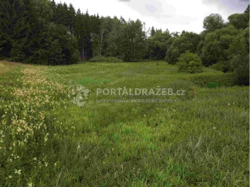 Pozemek o velikosti 22334m2, Dobronice u Chýnova