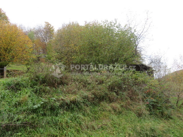 Dražba spoluvlastnického podílu id. 1/2 na