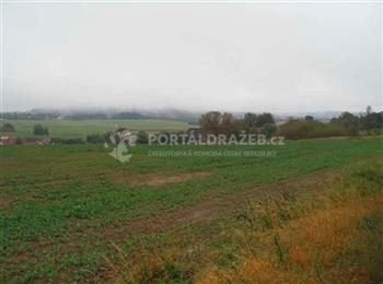 Dražba podílu 1/4 na pozemku obec Horní Lukavice,