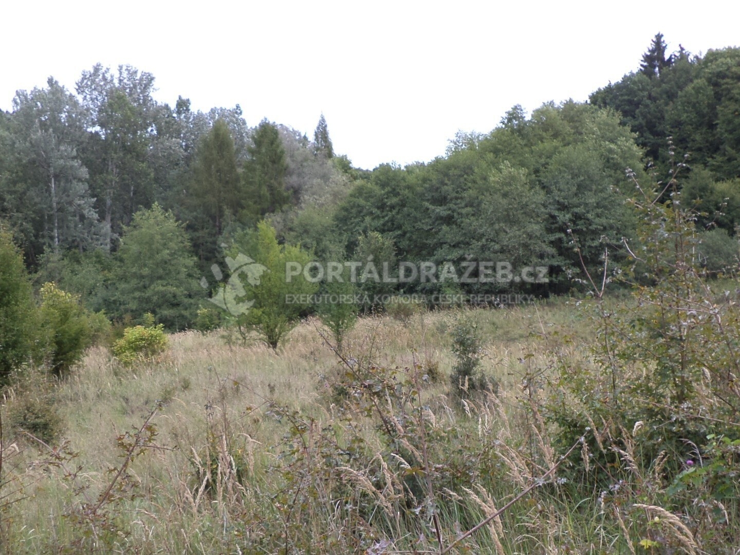Pozemek o velikosti 1953m2, Traplice