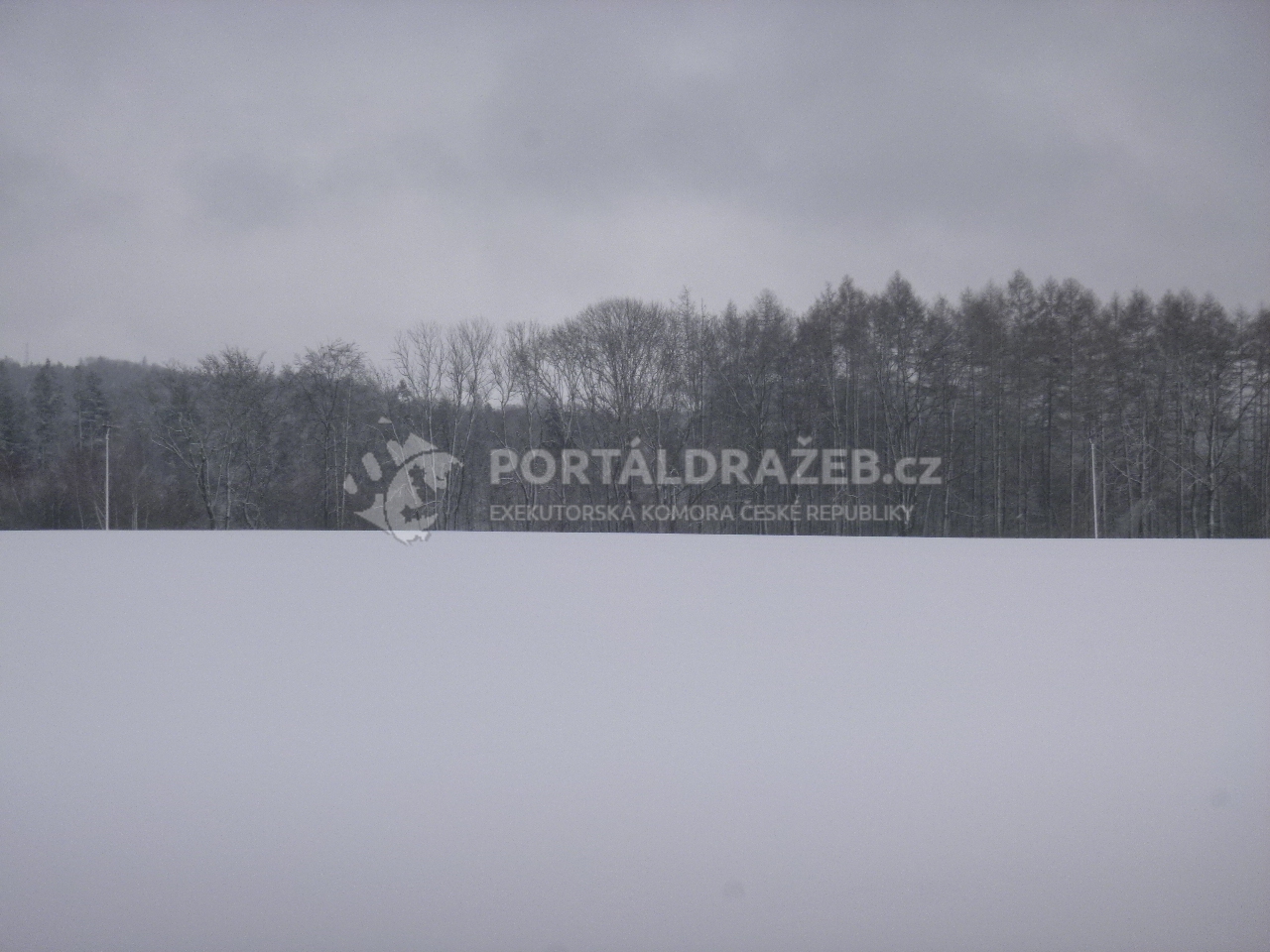 Podíl na pozemcích v k.ú. Zbyslavec, okr. Chrudim