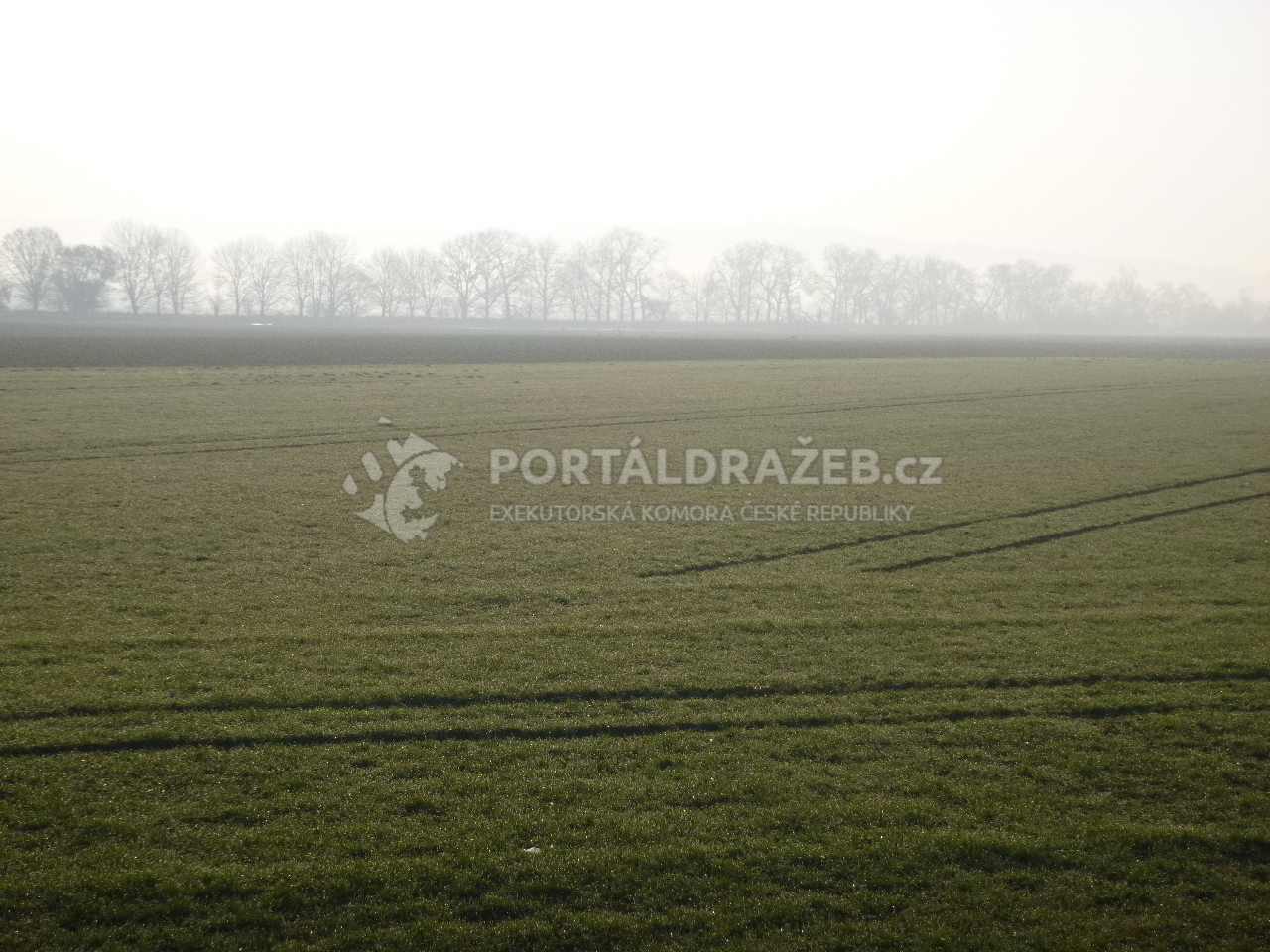 Pozemky a podíly na pozemcích v k.ú. Staré Město u Uherského Hradiště