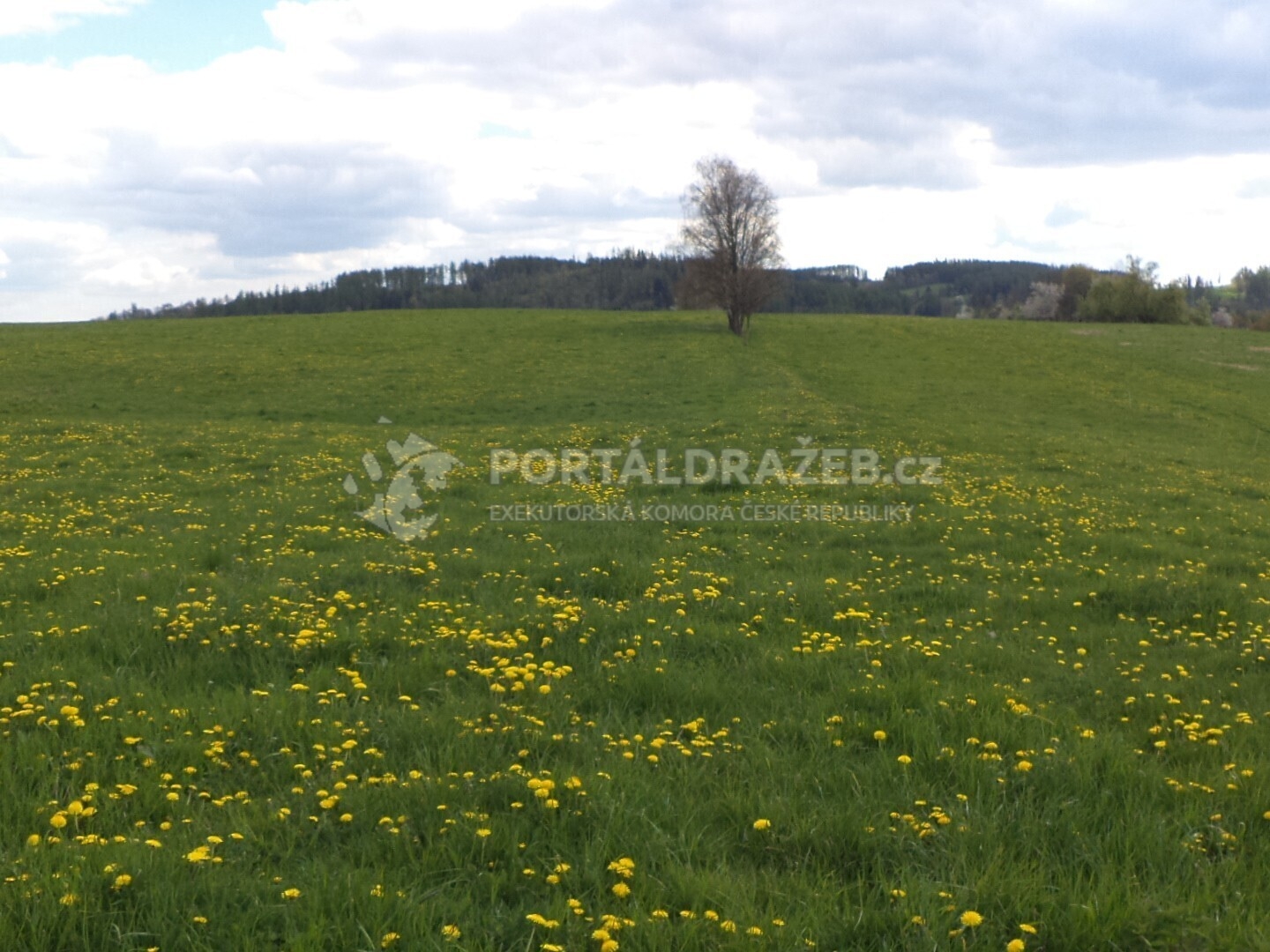 Pozemek o velikosti 10063m2, Malá Véska