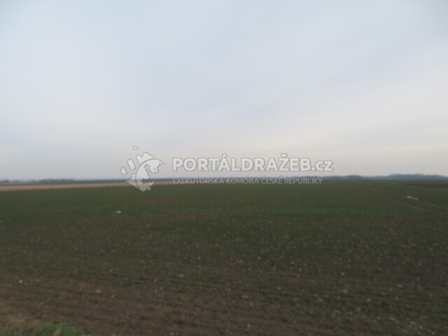 Spoluvlastnický podíl id. 1/3 většího zemědělského pozemku v obci Břežany I, okr. Kolín