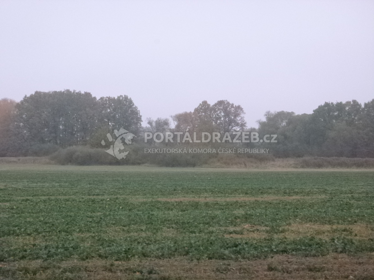 Pozemek v k.ú. Chlumec, okr. Český Krumlov a