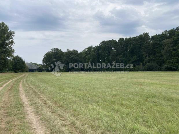 Orná půda 66 343 m2 a louky 17 656 m2 v obci Oseček, okres Nymburk