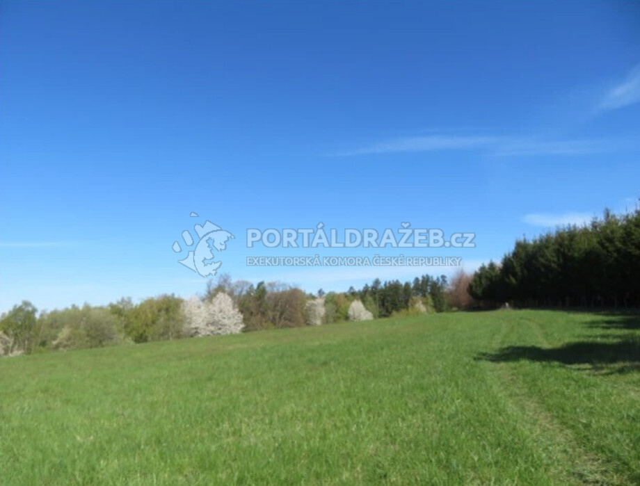 Ideální spoluvlastnický podíl 1/4 pozemků o celkové výměře 14.926 m2 v obci Bělá u Jevíčka, Svitavy