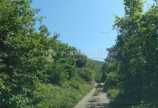 zahrada, orná půda, ostatní plocha - Krásné Březno, podíl povinné ve výši 1/12