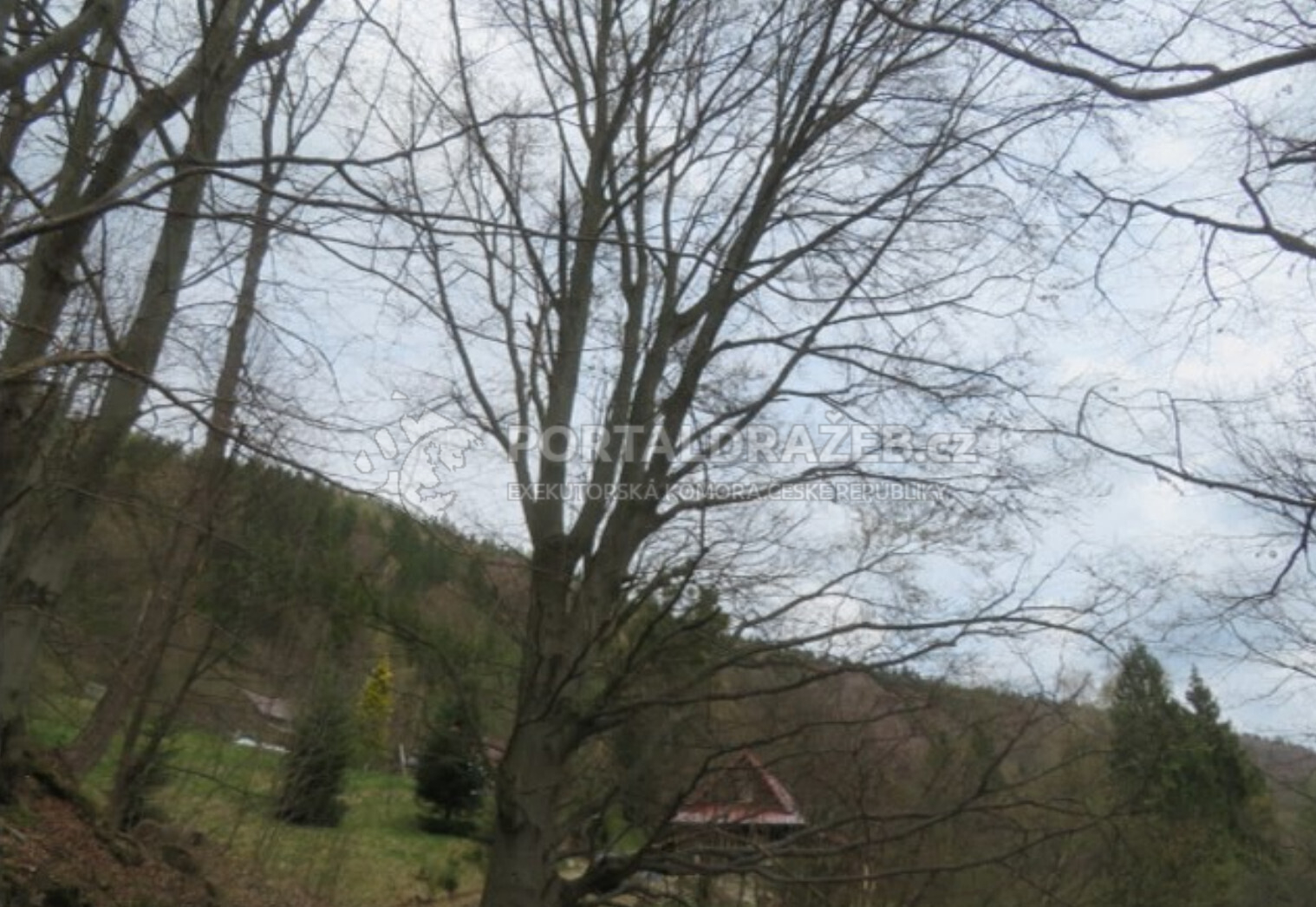 Podíl na pozemcích u obce Prostřední Bečva, cca 8 km od města Rožnov pod Radhoštěm